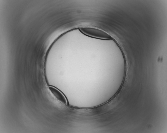 X0000114991392200911161503