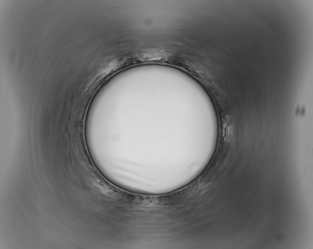 X0000114991393200911161502