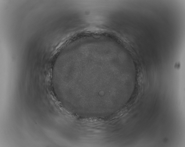 X0000114991397200911161502