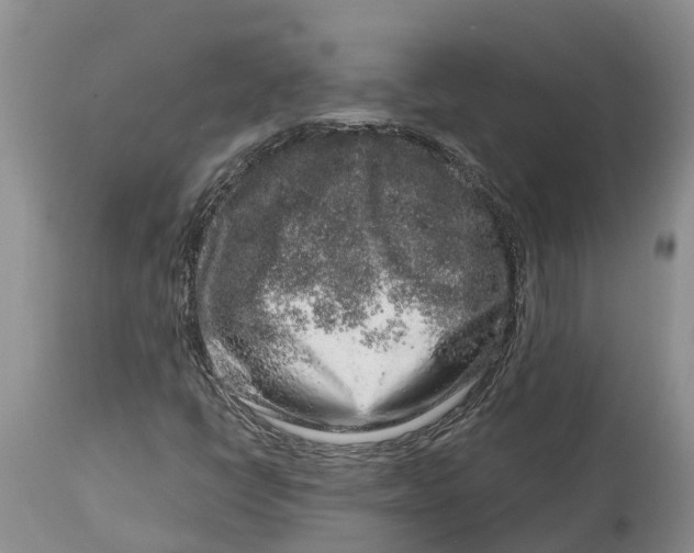 X0000114991398200911161502