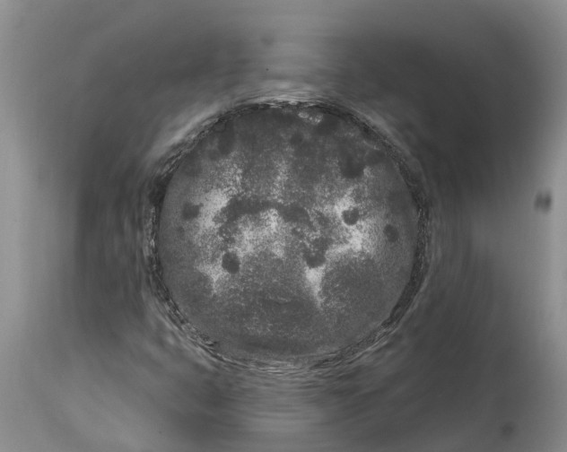 X0000114991399200911161502