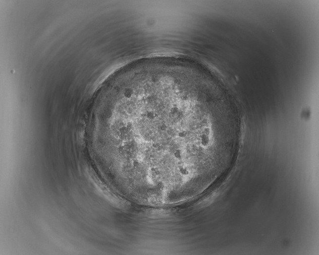 X0000114991401200911161503