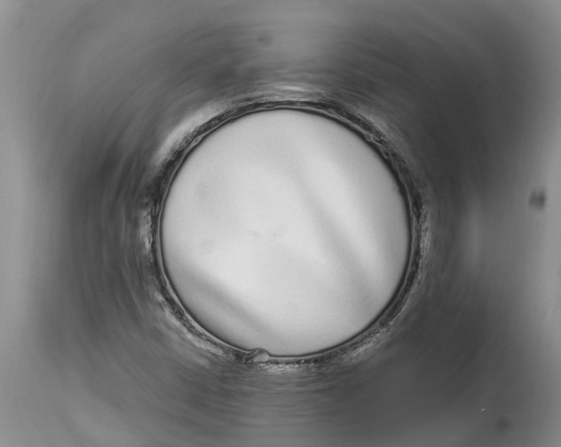 X0000114991402200911161503