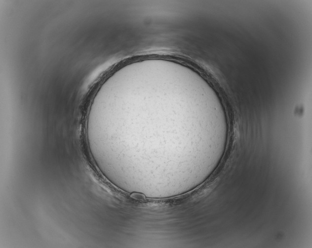 X0000114991406200911161503