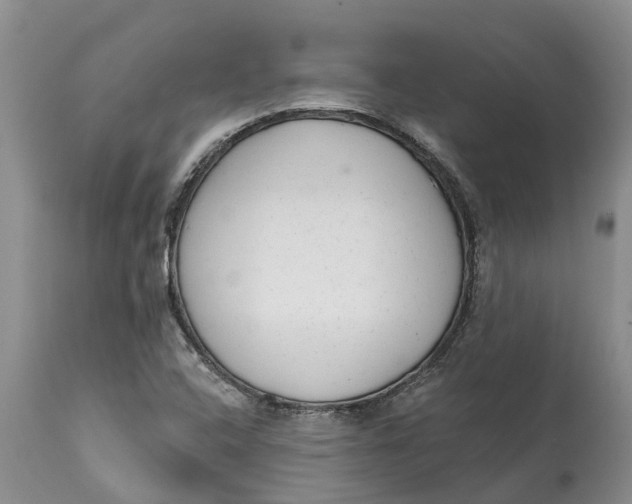 X0000114991408200911161503