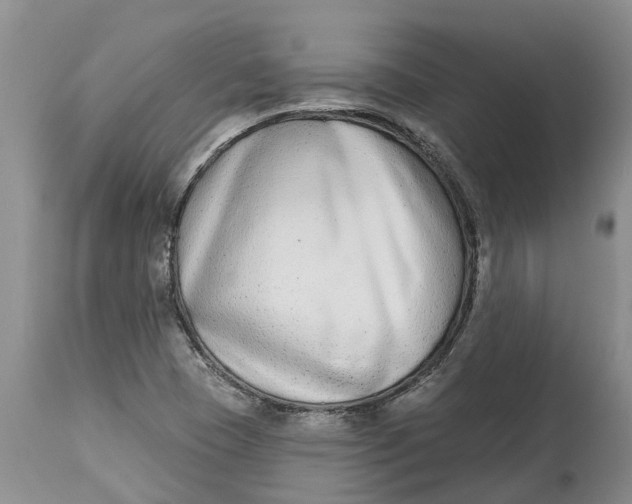 X0000114991409200911161503