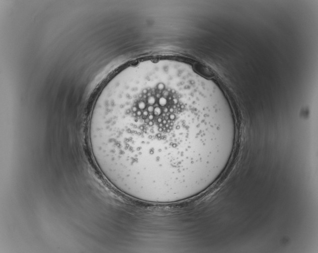 X0000114991410200911161503