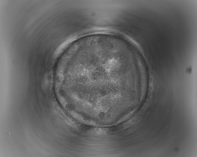 X0000114991411200911161503