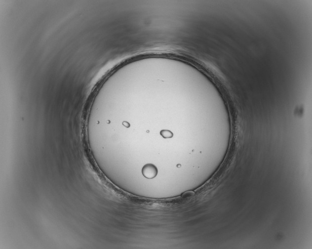 X0000114991412200911161503