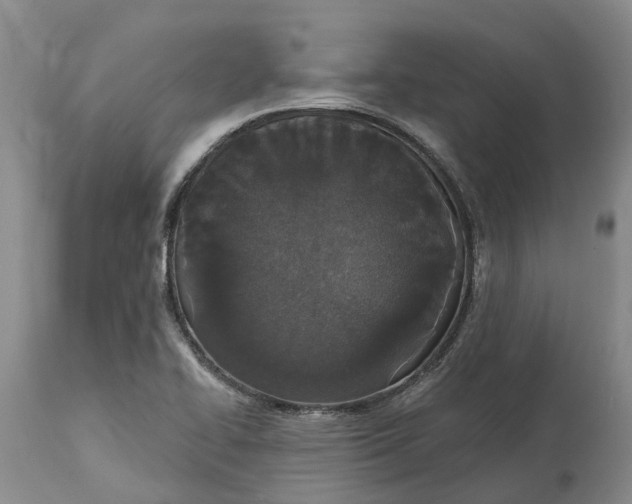 X0000114991414200911161503