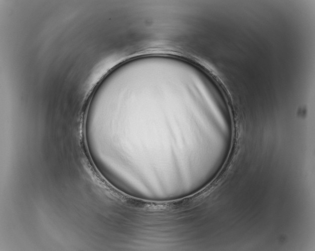 X0000114991415200911161503