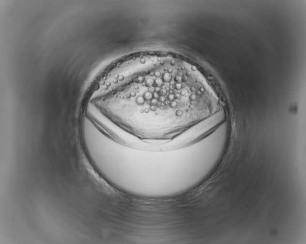 X0000114991416200911161503