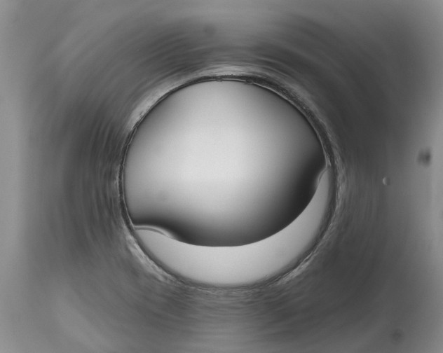 X0000114991417200911161503