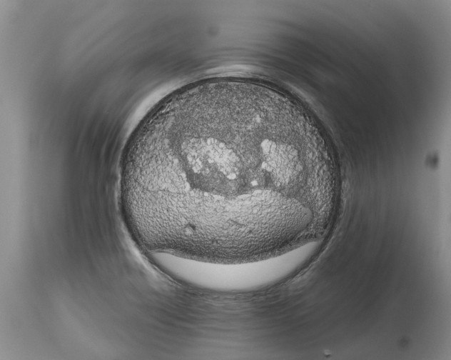 X0000114991418200911161503