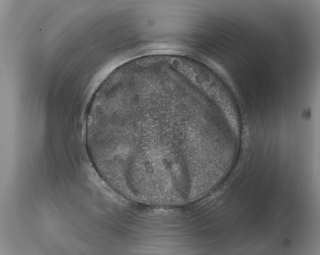X0000114991419200911161503