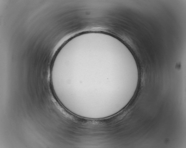 X0000114991420200911161503