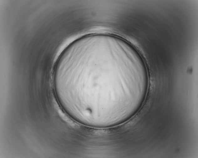 X0000114991421200911161503