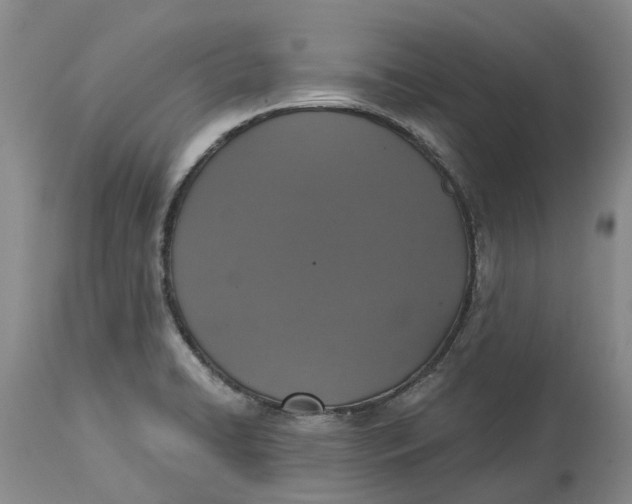 X0000114991422200911161503