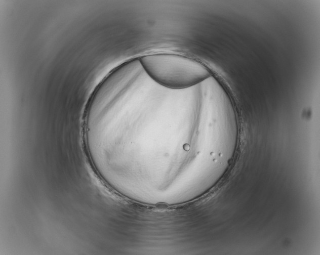 X0000114991423200911161503