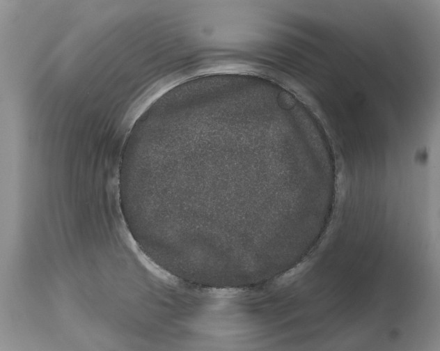 X0000114991425200911161503