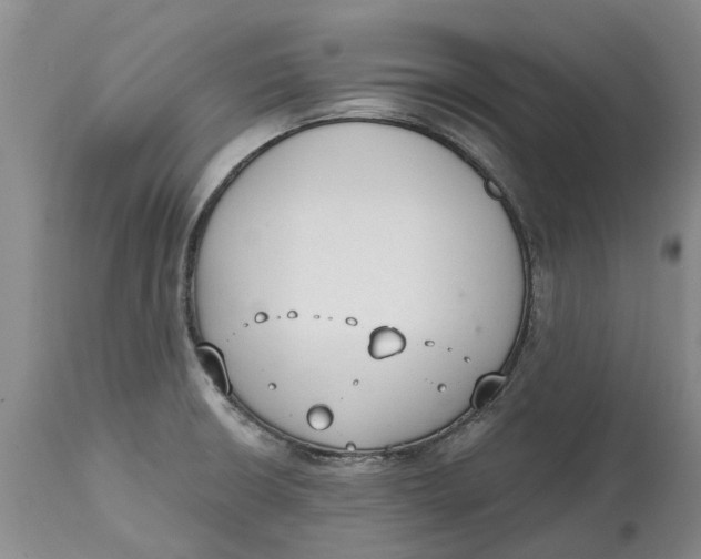 X0000114991426200911161503