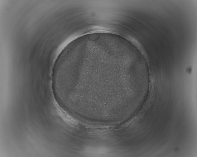 X0000114991427200911161503