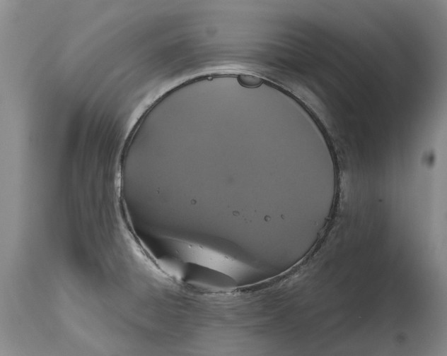 X0000114991428200911161503