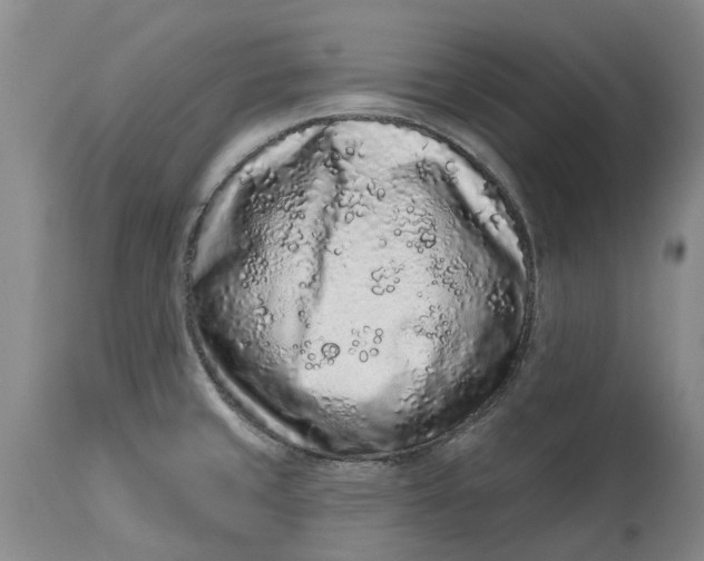 X0000114991429200911161503
