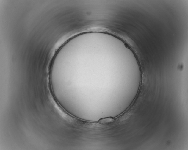 X0000114991430200911161503