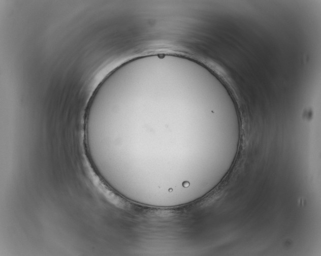 X0000114991431200911161503