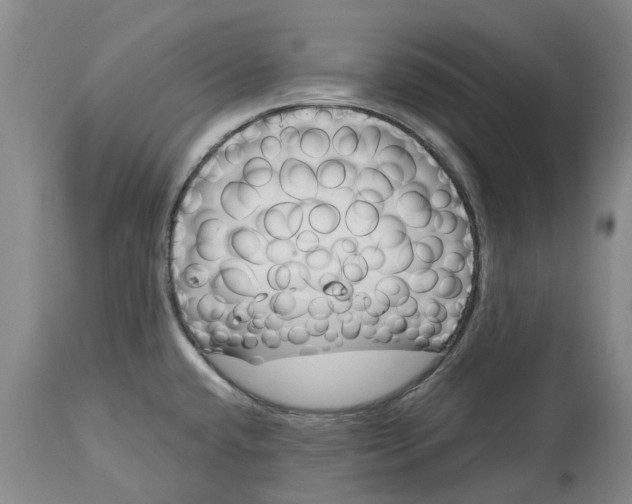 X0000114991432200911161503