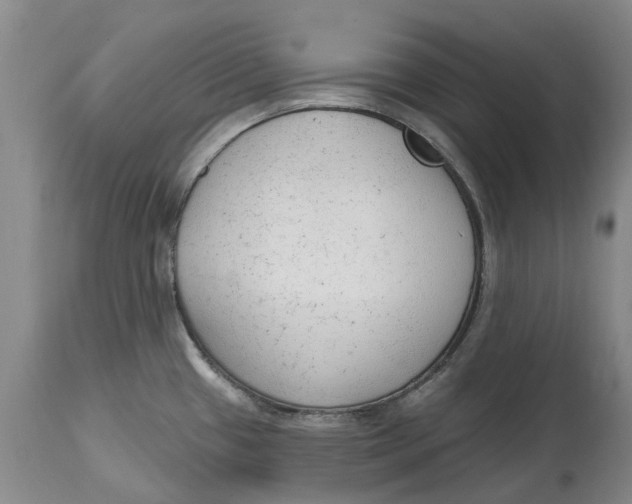 X0000114991433200911161503