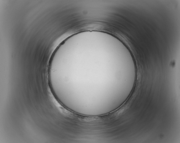 X0000114991434200911161503