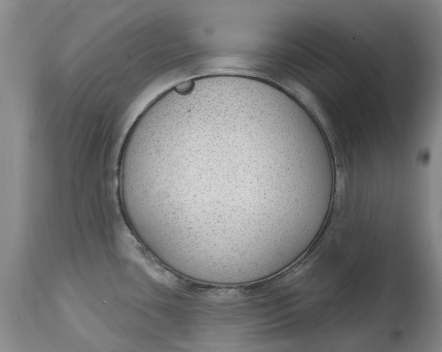 X0000114991435200911161503