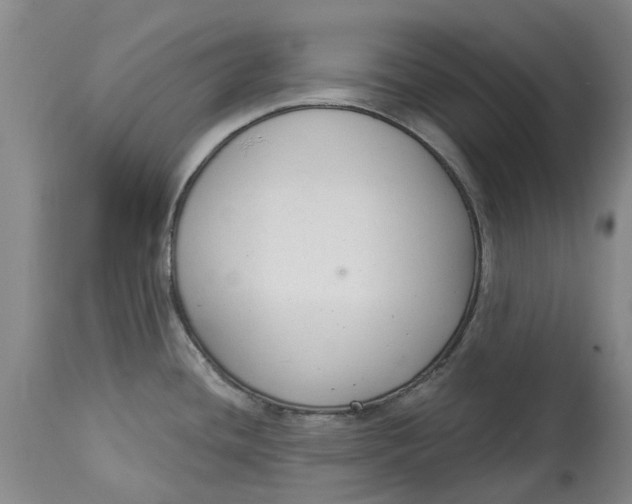 X0000114991436200911161503