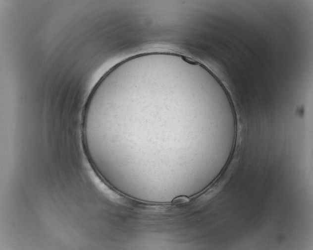 X0000114991438200911161503