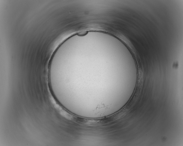 X0000114991439200911161503