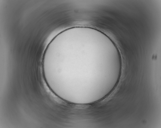 X0000114991440200911161503