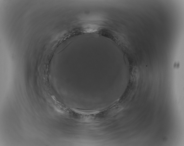 X0000114991441200911161502