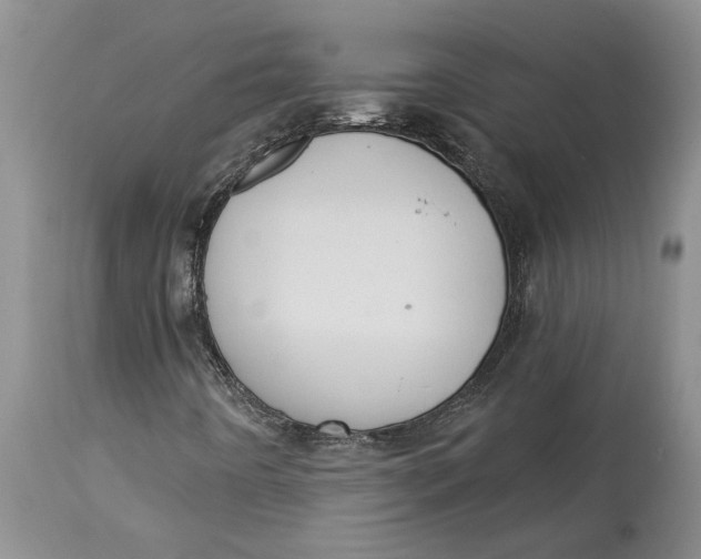 X0000114991442200911161502