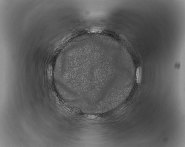 X0000114991443200911161502