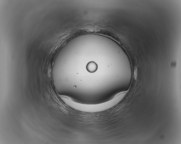 X0000114991444200911161502