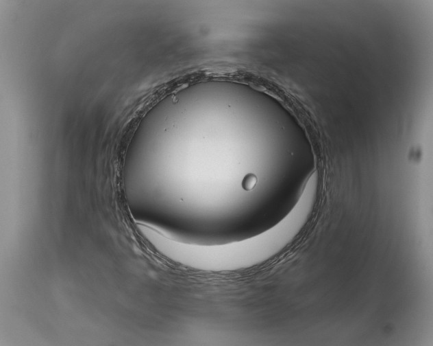 X0000114991445200911161502