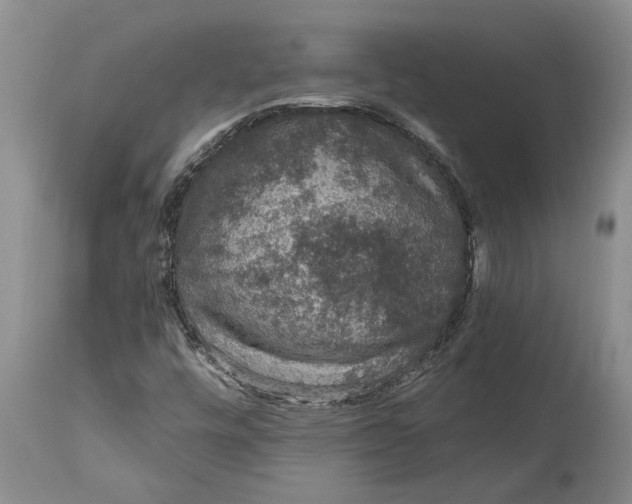 X0000114991448200911161502