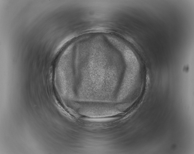 X0000114991450200911161502