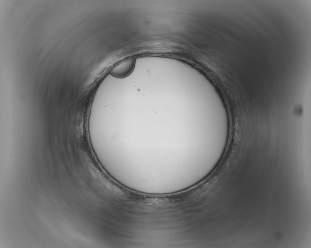 X0000114991451200911161502