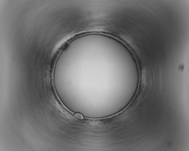 X0000114991452200911161502