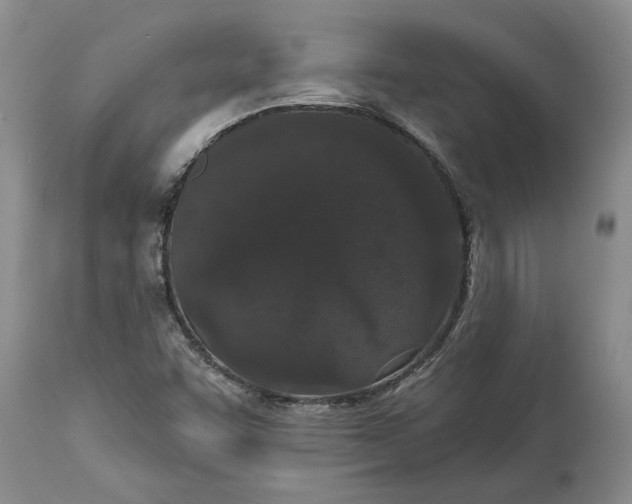 X0000114991455200911161502