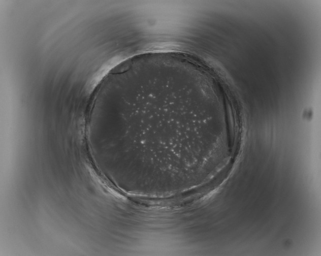 X0000114991457200911161502