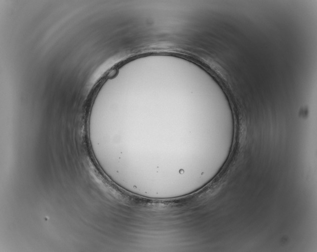 X0000114991458200911161502